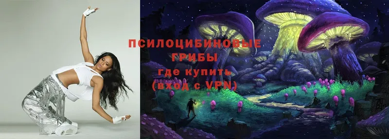 MEGA сайт  Богданович  Псилоцибиновые грибы Psilocybe 